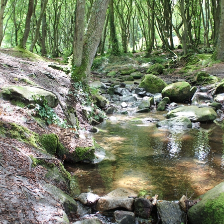 15 Urlaub in Frankreich